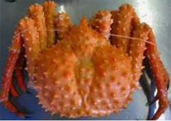 ��% metaKeywords %��